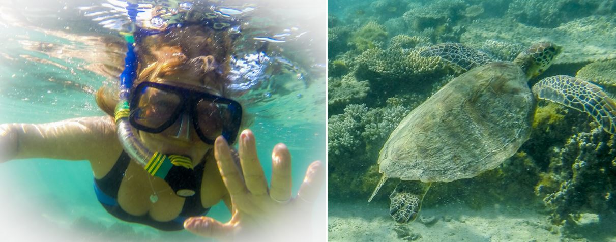 Snorkel girl and turtle
